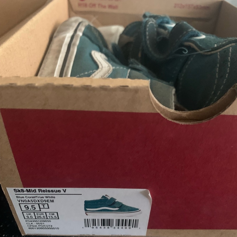 Vans Skate Shoes in Teal